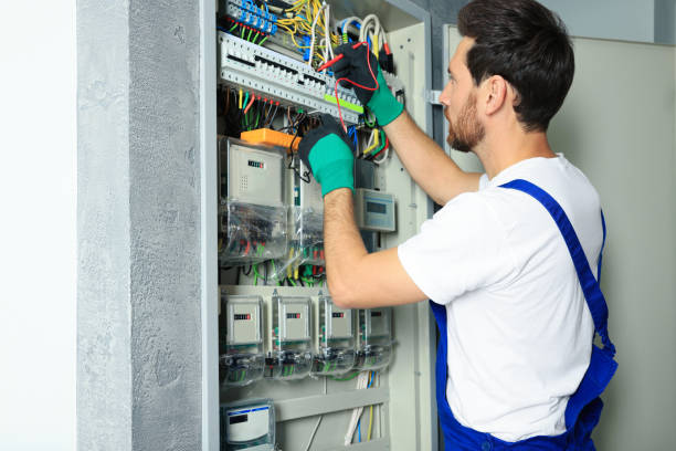 Best Electrical System Inspection  in Erie, IL